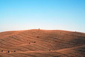 Rolled Up Prints: Val D Orcia landscape