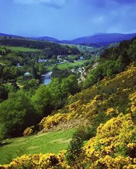 Vale of Avoca, County Wicklow, Ireland