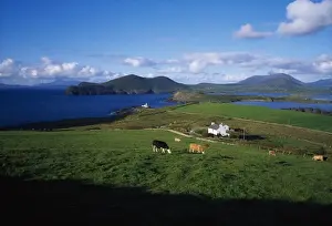 Valentia Island, Ring of Kerry, Co Kerry, Ireland