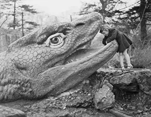 Valerie Burwood Looking Inside the Mouth of a Dinosaur