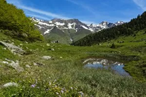 Images Dated 28th May 2015: Valley of la Glere, national park of Pyrenees, Hautes Pyrenees, France