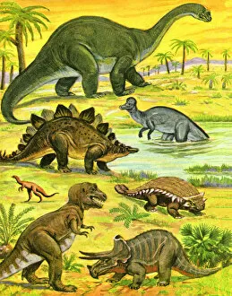 Images Dated 21st August 2013: Variety of Dinosaurs