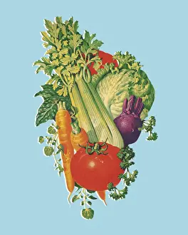 Medium Group Of Obje Prints: Variety of Vegetables