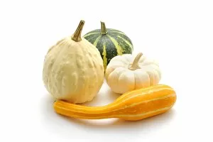 Nourishment Collection: Various ornamental pumpkins (Cucurbita)