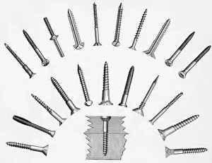 Carpentry Prints: Various Screws Arranged Radially