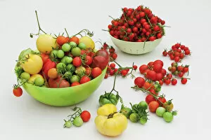 Healthy Eating Collection: Various tomato varieties