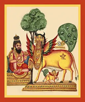 Album Prints: Vasishtha, sits on an asana