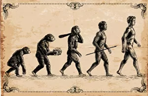 Images Dated 10th July 2018: Vector of human evolution concept