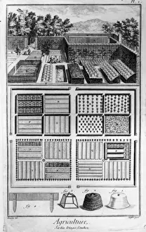 Vegetable Plan