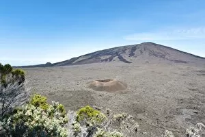 Vegetation in front of Formica Leo, a small ash crater in front of the Piton de la Fournaise volcano