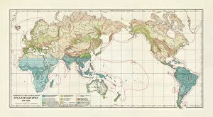 Images Dated 15th November 2018: Vegetation zones of the world, lithograph, published in 1897