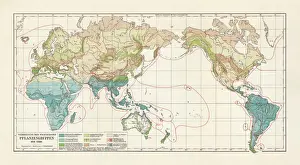 Vegetation zones of the world, lithograph, published in 1897