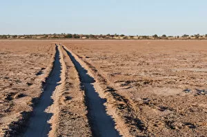 Images Dated 21st June 2016: Vehicle tracks across a pan in the Kalahari. Stampriet District, Namibia