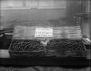 Chestnut Food Prints: Verdun Nuts