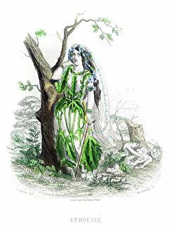 Vervain - Hand colored plate from "Les Fleurs Animees by J.J.Grandville 1867