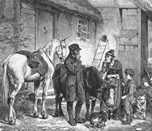 Veterinarian Inspecting Sick Cattle