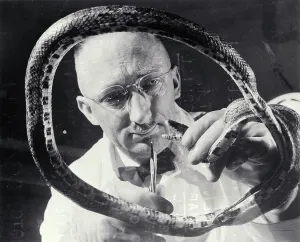 Champaign Prints: Veterinarian with Snake