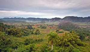 Outcrop Prints: ViAnales Valley