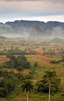 ViAnales Valley Fog I