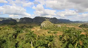 Vinales Prints: ViAnales Valley, panorama