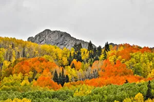 Images Dated 1st October 2017: Vibrant Fall Colors, Crested Butte, Colorado, USA