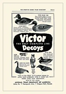 Duck Prints: Victor Decoys