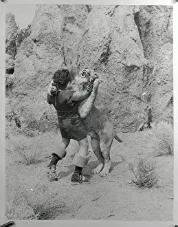 Victor Mature Fighting Lion in Movie Samson and Delilah