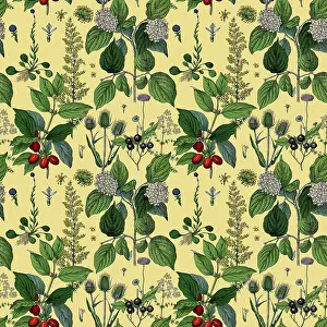 Victorian Botanical, Hand-Colored, Seamless Repeating pattern. Realistic blooming isolated flowers, Vintage fabric background. Beautiful Cottage Garden and wildflowers. Wallpaper baroque. Drawing engraving. Victorian Illustration