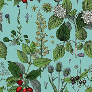 Prints of Victorian Botanical, Hand-Colored, Seamless pattern. Realistic blooming isolated flowers, Vintage fabric background. Beautiful Cottage Garden and wildflowers. Wallpaper baroque. Drawing engraving The Magical World Of Illustration Prints: Victorian Botanical, Hand-Colored