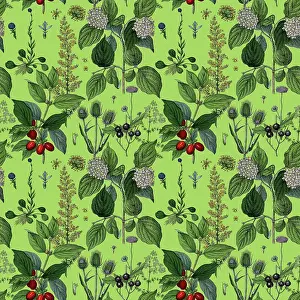 Victorian Botanical, Hand-Colored, Seamless Repeating pattern. Realistic blooming isolated flowers, Vintage fabric background. Beautiful Cottage Garden and wildflowers. Wallpaper baroque. Drawing engraving. Victorian Illustration