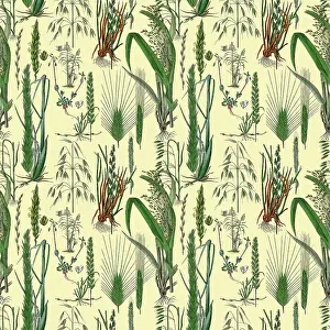 Prints of Victorian Botanical, Hand-Colored, Seamless pattern. Realistic blooming isolated flowers, Vintage fabric background. Beautiful Cottage Garden and wildflowers. Wallpaper baroque. Drawing engraving The Magical World Of Illustration Prints: Victorian Botanical, Hand-Colored