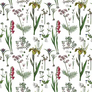 Prints of Victorian Botanical, Hand-Colored, Seamless pattern. Realistic blooming isolated flowers, Vintage fabric background. Beautiful Cottage Garden and wildflowers. Wallpaper baroque. Drawing engraving The Magical World Of Illustration Prints: Victorian Botanical, Hand-Colored