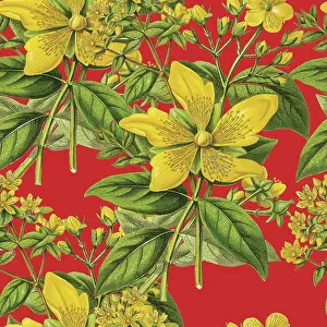 Victorian Botanical, Hand-Colored, Seamless Repeating pattern. Realistic blooming isolated flowers, Vintage fabric background. Beautiful Cottage Garden and wildflowers. Wallpaper baroque. Drawing engraving. Victorian Illustration