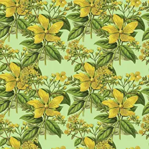 Victorian Botanical, Hand-Colored, Seamless Repeating pattern. Realistic blooming isolated flowers, Vintage fabric background. Beautiful Cottage Garden and wildflowers. Wallpaper baroque. Drawing engraving. Victorian Illustration