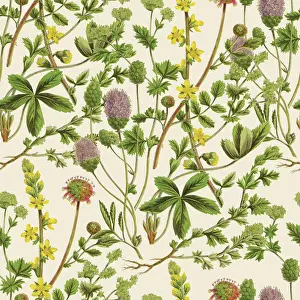 Prints of Victorian Botanical, Hand-Colored, Seamless pattern. Realistic blooming isolated flowers, Vintage fabric background. Beautiful Cottage Garden and wildflowers. Wallpaper baroque. Drawing engraving The Magical World Of Illustration Prints: Victorian Botanical, Hand-Colored