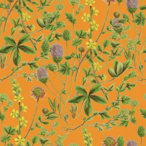 Prints of Victorian Botanical, Hand-Colored, Seamless pattern. Realistic blooming isolated flowers, Vintage fabric background. Beautiful Cottage Garden and wildflowers. Wallpaper baroque. Drawing engraving The Magical World Of Illustration Prints: Victorian Botanical, Hand-Colored