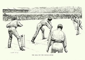 British Culture Gallery: Victorian Cricket Match, 19th Century