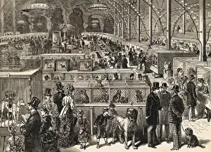 Victorian Dog Show