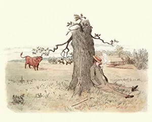Images Dated 23rd June 2017: Victorian man relaxing by a tree, bull watches him