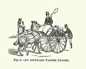 Images Dated 27th April 2018: Victorian sports, Carriage driving, Awkward tandem leader