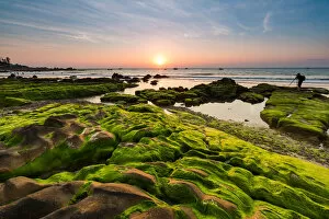 Images Dated 10th January 2016: Vietnam beach, Moss, Rock, Sunrise