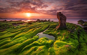 Images Dated 9th January 2016: Vietnam - Sunrise over green moss cover rocks in Co Thach beach, Binh Thuan
