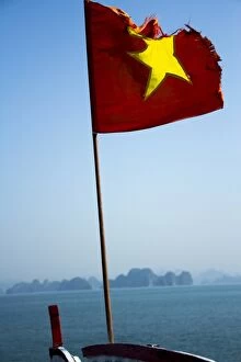 Vietnamese flag waving