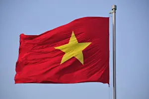 Vietnamese Prints: Vietnamese national flag