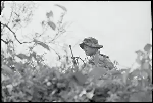Grassland Prints: Vietnamese Soldier Sitting in Grass