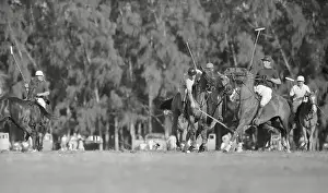 View of Action During Polo Match