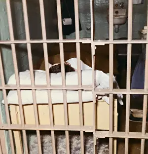View of Alcatraz Cell After Breakout