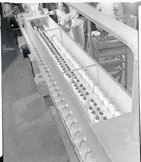 Greenwich Prints: View of Assembly Line in Male Toiletries Plant