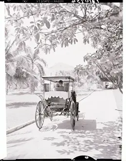 Nassau Prints: View of Bahamian Carriage and Villa