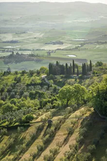 Images Dated 2nd May 2017: A view of the beautiful hills of the Val D Orcia, Tuscany